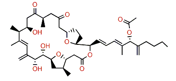 Amphidinolide C2